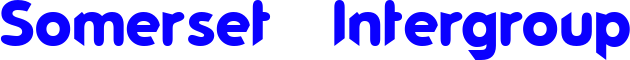 www.somersetaa.org Logo